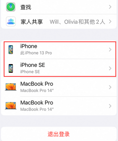 大安苹大安果维修网点分享iPhone如何查询序列号