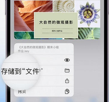 大安apple维修中心分享iPhone文件应用中存储和找到下载文件