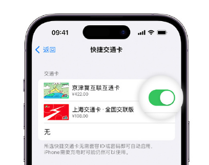 大安apple维修点分享iPhone上更换Apple Pay快捷交通卡手绘卡面 