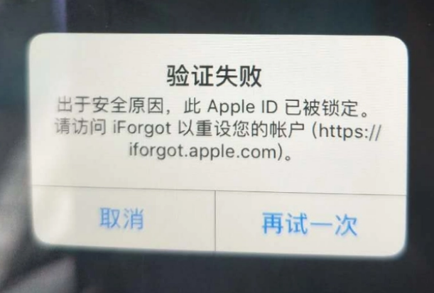 大安iPhone维修分享iPhone上正常登录或使用AppleID怎么办 