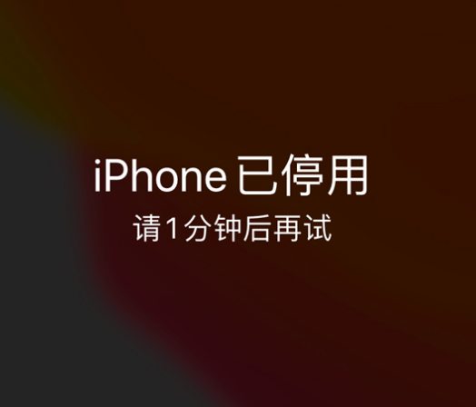 大安苹果手机维修分享:iPhone 显示“不可用”或“已停用”怎么办？还能保留数据吗？ 