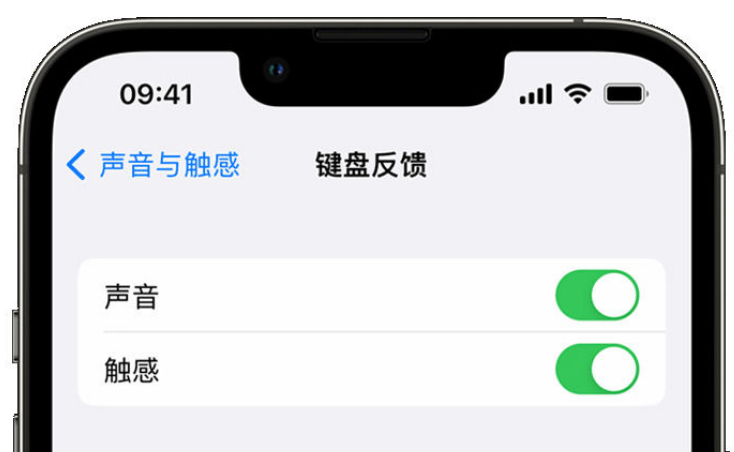 大安苹果手机维修分享iPhone 14触感键盘使用方法 