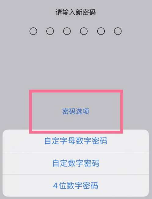 大安苹果14维修分享iPhone 14plus设置密码的方法 