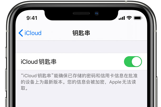 大安苹果手机维修分享在 iPhone 上开启 iCloud 钥匙串之后会储存哪些信息 