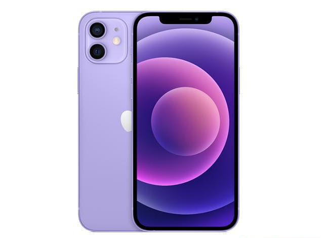 大安苹果手机维修分享现阶段要不要入手紫色版iPhone12 
